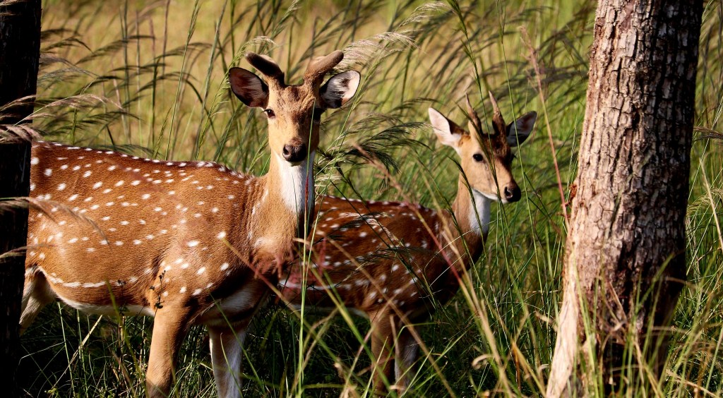 Ciara and Jecky: The Power of&nbsp;Attitude